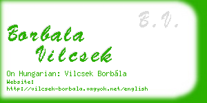 borbala vilcsek business card